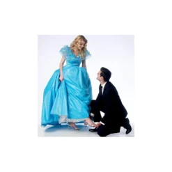 Patron Type Cendrillon -Magasin De Costumes D'Halloween patron type cendrillon 3