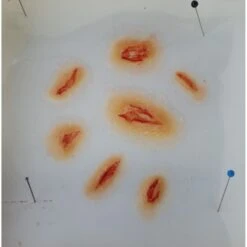 Prothèses Transfert - Coups Et Blessures -Magasin De Costumes D'Halloween protheses transfert coups et blessures 4