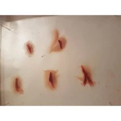 Prothèses Transfert - Coupures -Magasin De Costumes D'Halloween protheses transfert coupures 2